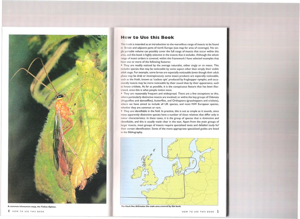 , How to Use this Book I hi" book is intended as an introduction to the marvellous range of insects to be found III Uritain and adjacent parts of north Europe (see map for area of coverage).