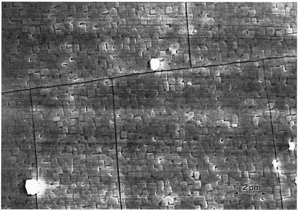 J. Appl. Phys., Vol. 87, No. 6, 15 March 2000 James et al. 2827 FIG. 2. Scanning electron micrograph showing rectangular platelets, edges of the platelets are seen oriented along two mutually perpendicular directions.