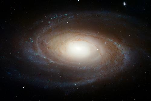 Spectroscopy of M81 Globular Clusters Julie B.