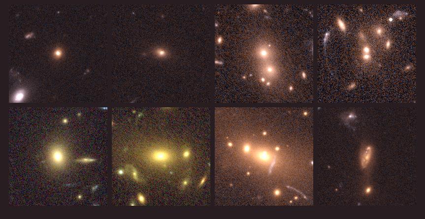 Brightest Cluster Galaxies CL1604+4321 RXJ0910+54 RXJ1252-29 29 RXJ0848+54 z = 0.92 z = 1.10 z = 1.24 z = 1.