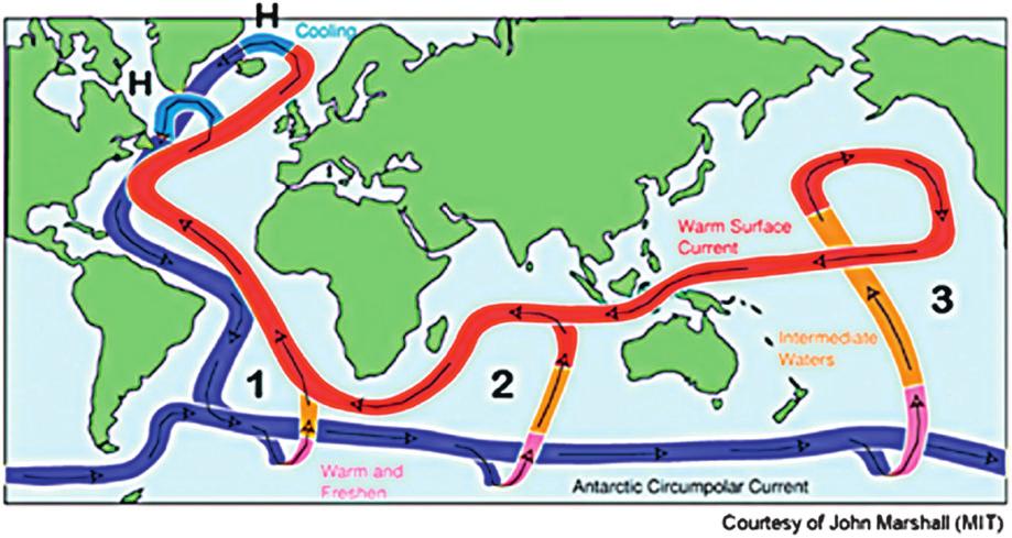 238 PART j III The Role of Oceans FIGURE 14 A more recent portrayal of the ocean s deep water circulation Figure courtesy of John Marshall.