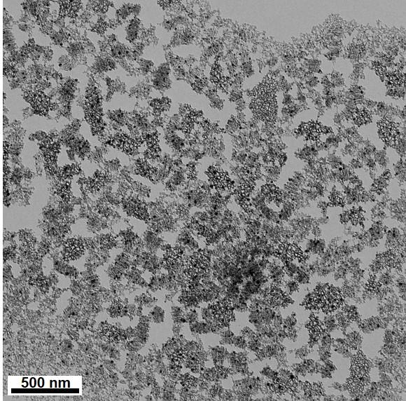 deposition within porous Si nanoparticles using