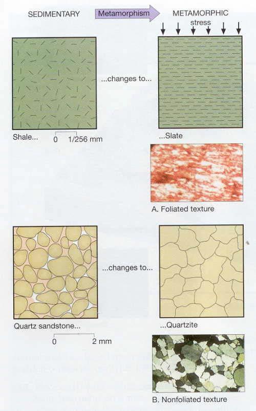 Figure 4. Metamorphic rock textures. A.
