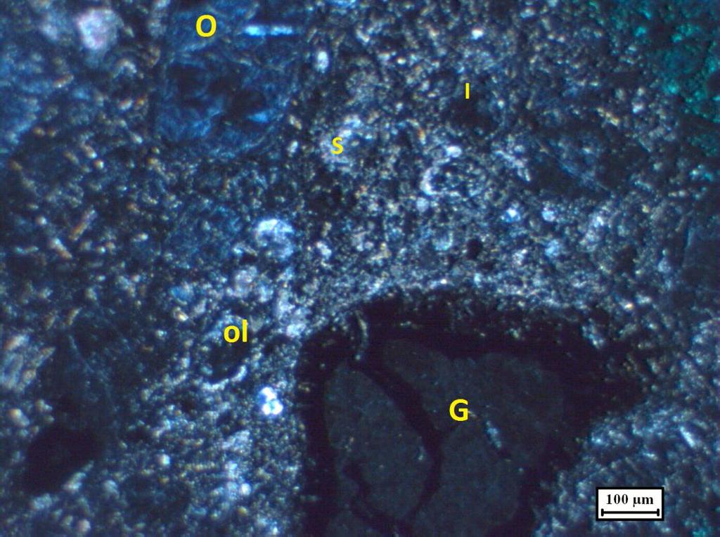 Fig. IV -13: Garnet xenocryst surrounded by microphenocrysts of olivine (ol) set in a groundmass of predominantly serpentine and