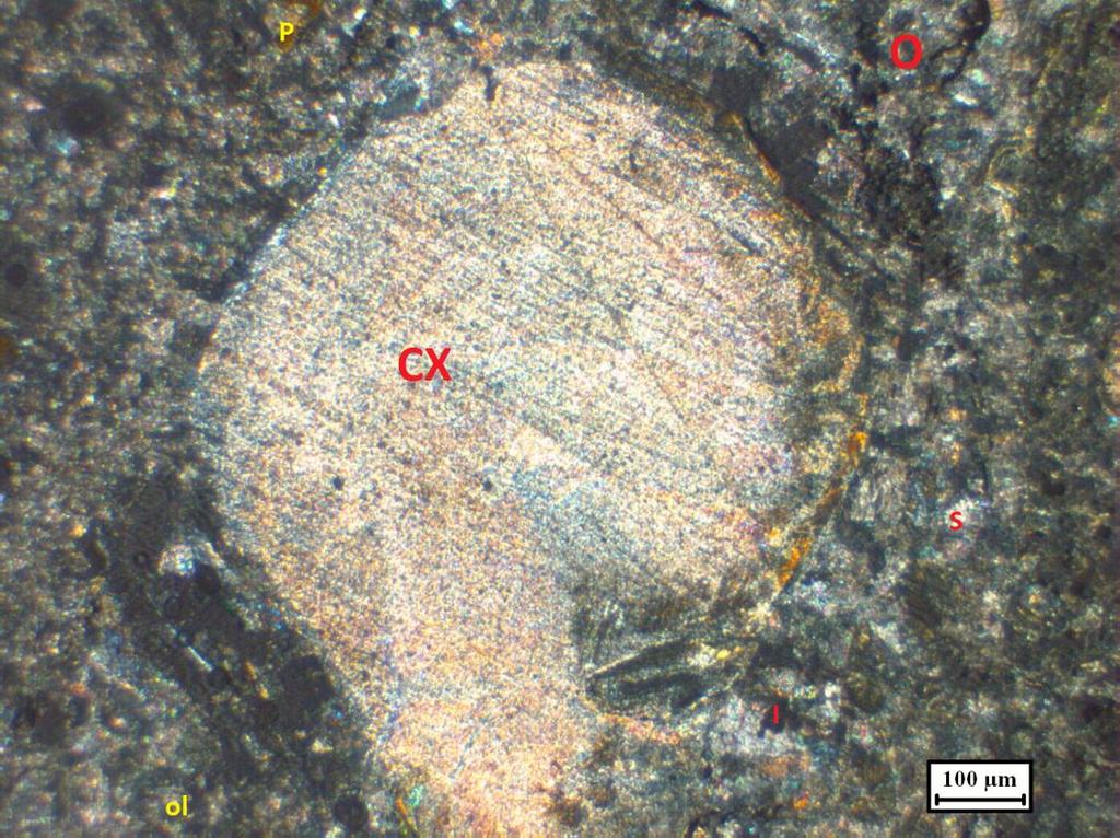 Fig. IV 20: Xenolith of granitoid gneiss in kimberlite pipe KL 5. Two populations of olivines, serpentine (S), ilmenites (I) and phlogopite (P).