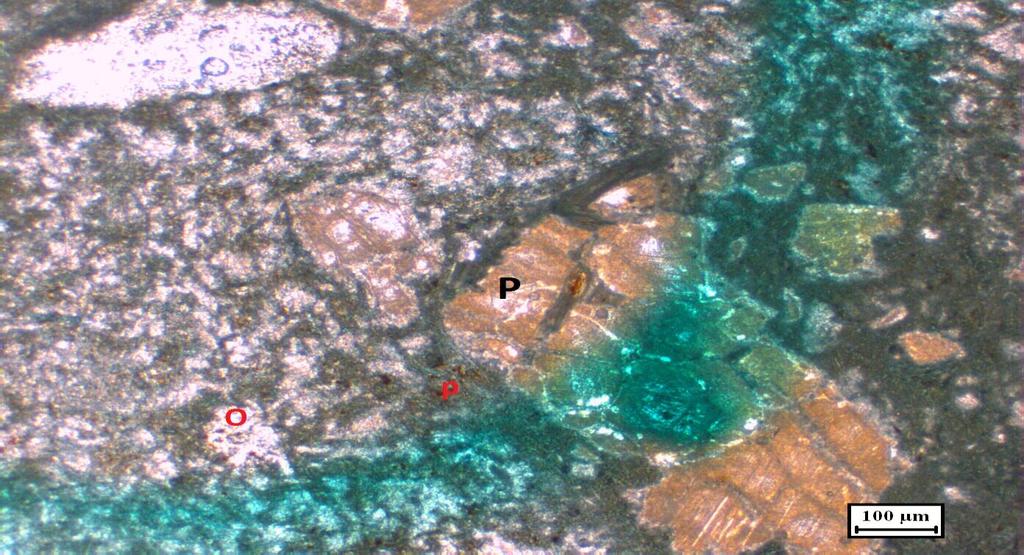 composed of subhedral microphenocrysts of olivine (ol) and microphenocrysts of other opaque minerals.