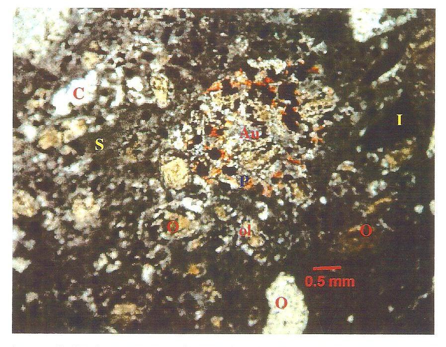 of diopside, ilmenite and phlogopite. Both olivine and ilmenite macrocrysts reveal the effects of corrosion. Microcrysts of olivine and ilmenite too are anhedral but measure <0.5 mm.