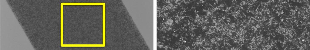 Scanning Electron Microscopy Characterization of Printed Features (Figure S4) Scanning electron micrographs of printed features