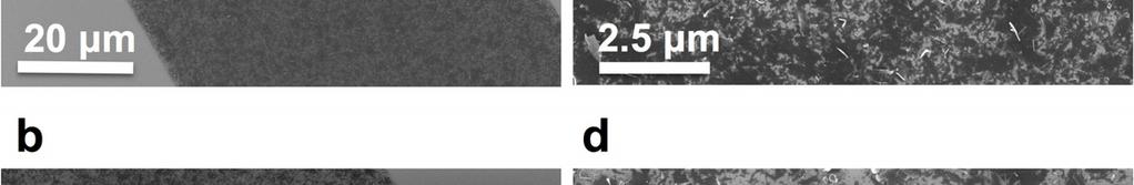 SEM images of printed lines annealed to (a,c) 250 C and (b,d) 450 C.