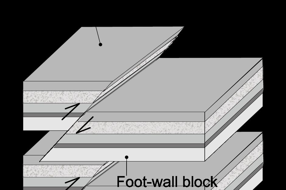 Reverse faulting The hanging-wall block of the fault slips move