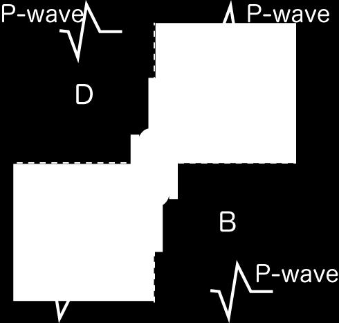Shear Faulting and P-wave Compressional P wave UD comp.