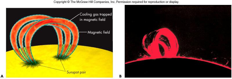 chromosphere Hot gas brightens over minutes or hours, but not enough to affect the Sun s total light output Solar Flares Strong increase in radio and x-ray emissions Intense