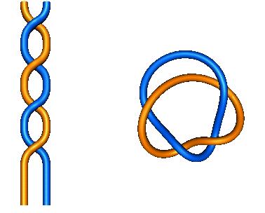 The braid: The torus knot: