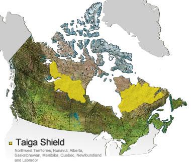 Location The Taiga Shield Ecozone stretches across part of Canada's subarctic north. With an area of over 1.