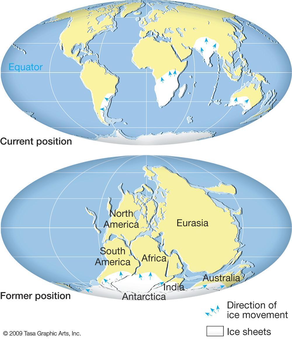 Continental Drift evidence - paleoclimate A) Glacial deposits