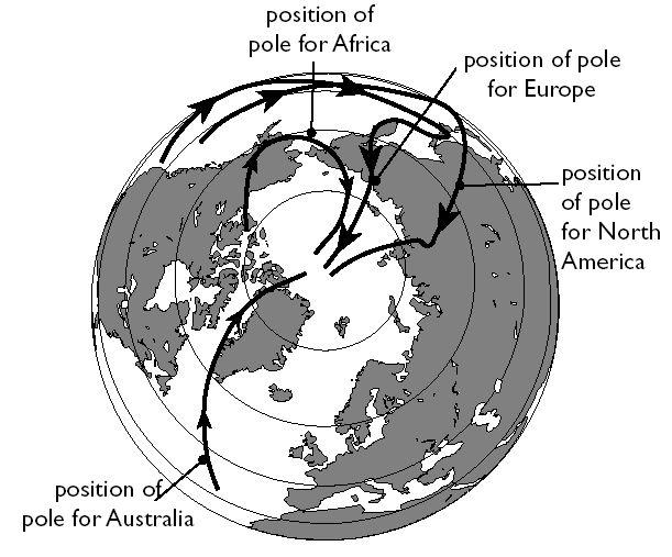 3) Polar Wandering A plot of this magnetism showed that the magnetic pole appeared to change position considerably over the past 500 million years.