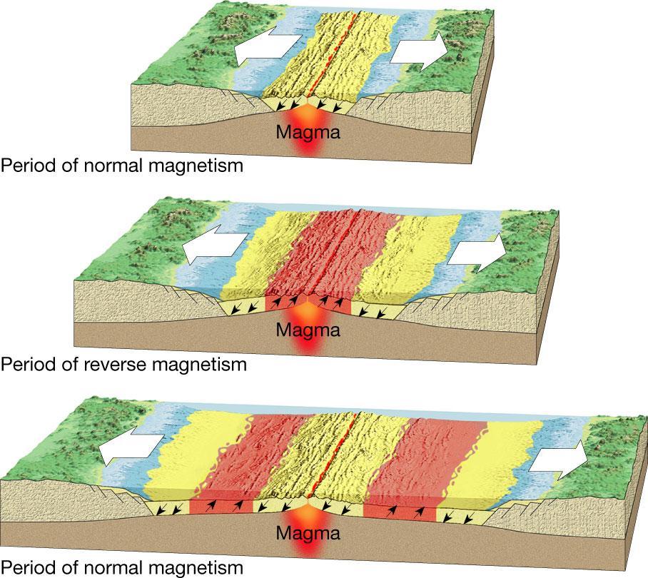 The reversals can be tracked by a magnetometer on both sides of a divergent boundary This produces a mirror image that has helped in proving the
