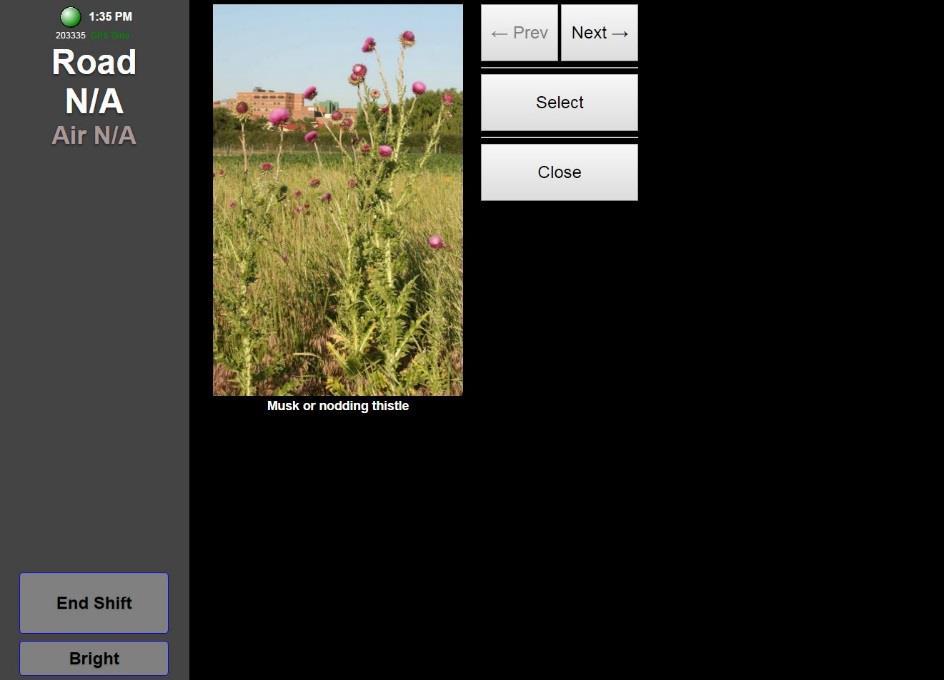 The choices with photos include the following: Musk/Nodding Thistle, Spotted Knapweed, Leafy Spurge, Wild Parsnip and Common Tansy.