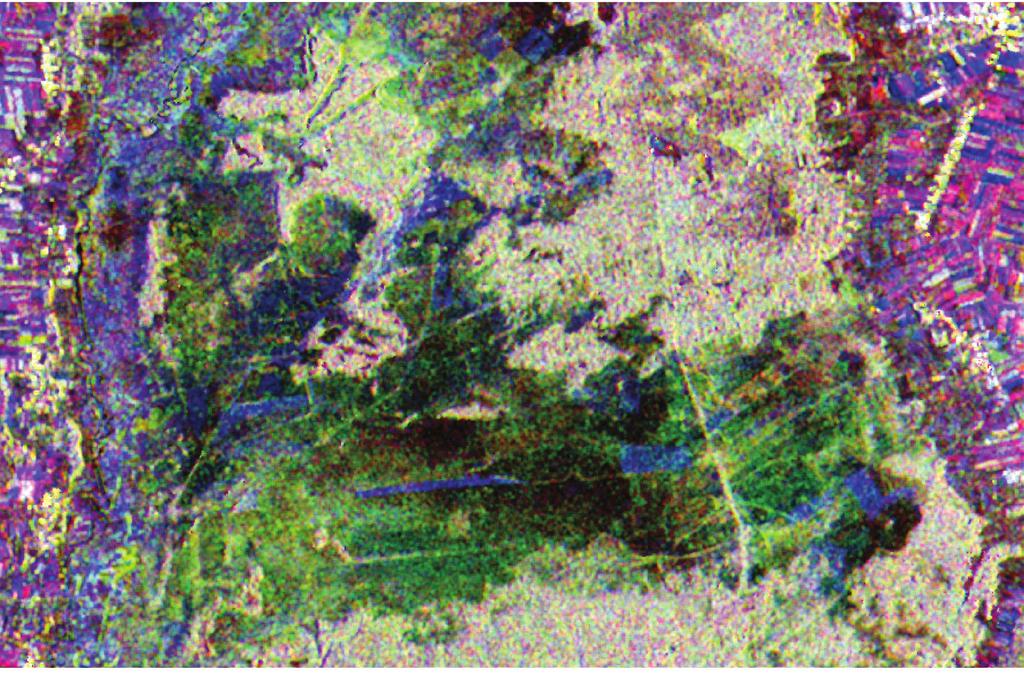 Hybrid approach for mapping wetland habitats based on application of VHR satellite images Terra SAR-X radar images were the second type of satellite data applied for the study area.