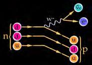 This occurs as a neutron changing into a proton Thurs, Dec 11, 2008 Phy208 Lect29 19 Thurs, Dec 11, 2008 Phy208 Lect29 20 beta decay example 14