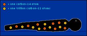 Steady-state achieved in atmosphere, with 14 C: 12 C ratio ~ 1:1 trillion (1 part in 10 12 ) Carbon-dating question The 14 C: 12 C ratio in a fossil bone is found to be 1/8 that of the ratio