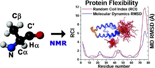 Predicting protein chemical shifts