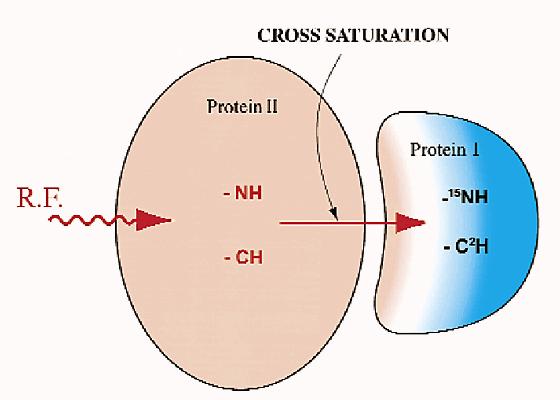 protein Takahashi et al., Nat.