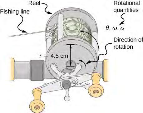 Chapter 10 Fixed-Axis Rotation 497 Figure 10.11 linearly. Fishing line coming off a rotating reel moves Strategy Identify the knowns and compare with the kinematic equations for constant acceleration.
