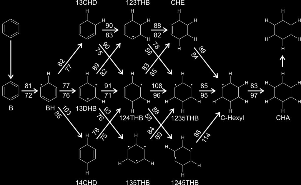 Full network: reaction path analysis 20 bar, 225 C, 1.8 g cat, 0.13 mol/h benzene, (H 2 /B) in =5 W/F B =48.