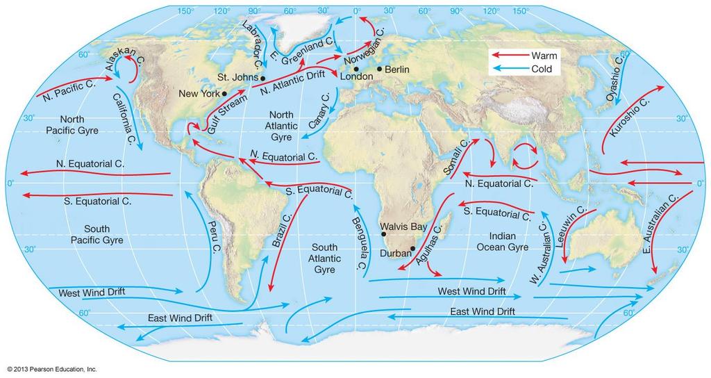 Ocean Currents Ocean current: A