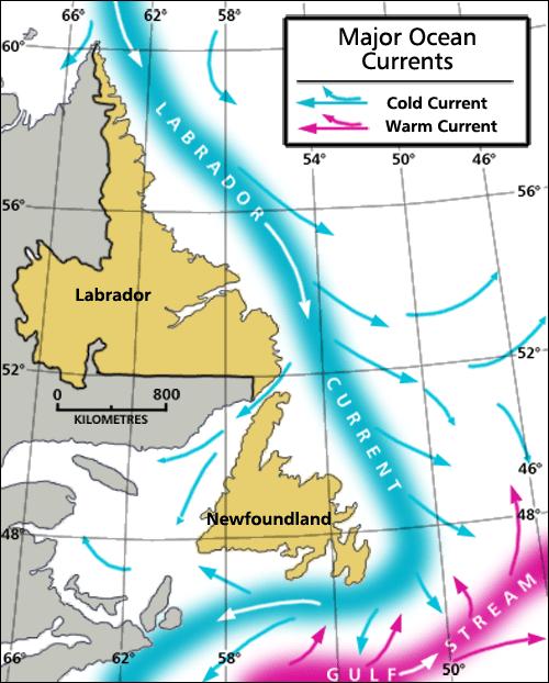Ocean Currents Local Ocean Currents 1 Labrador Current