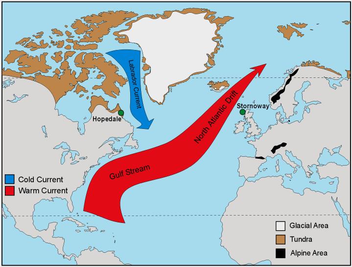 Ocean Currents Local Ocean Currents 1 Labrador Current (cold water) 2 Gulf Stream (warm water) Refer to map p 54 When the