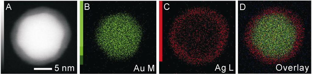 results provide definitive evidence of the Au@Ag structure of the particles [14,15]. Figure 2.