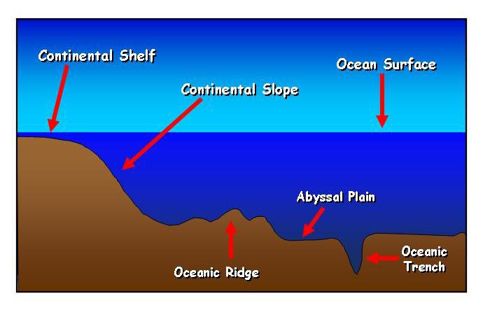 The surface of oceans show several general features. A shallow rim, called the continental shelf, surrounds the continents.