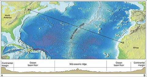 OCEAN BASIN OCEAN BASIN FLOOR: ABOUT 30% EARTH S SURFACE BEGINS AT THE