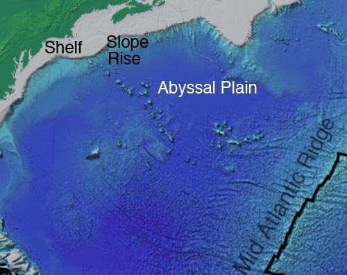 OCEAN BASIN ABYSSAL PLAIN FLAT DEEP OCEAN FLOOR MAY BE MORE