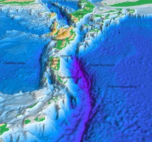 OCEAN BASIN TRENCHES OCCUR AT SUBDUCTION ZONES OCEANIC CRUST IS FORCED INTO MANTLE ASSOCIATED WITH