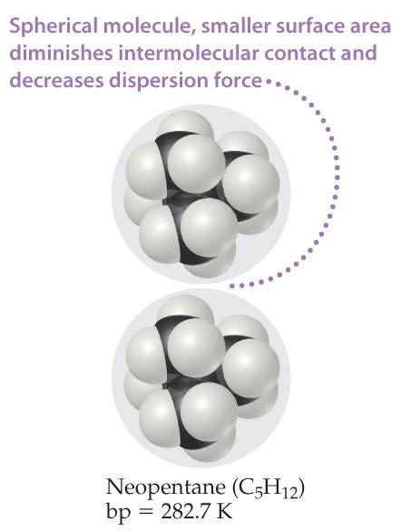 n-pentane) tend to have stronger dispersion forces than