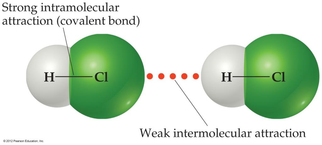 Differentiate between Intermolecular Forces and Intramolecular Forces Definition Intramolecular Bonds hold ATOMS together Intermolecular Attraction forces hold MOLECULES together Types Ionic,