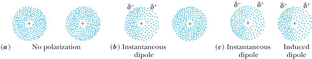 London Dispersion Forces Exists between non-polar molecules, and atoms.