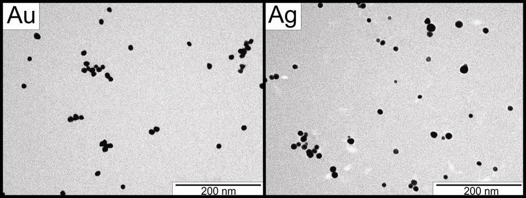 TEM images of Au and Ag nanoparticles