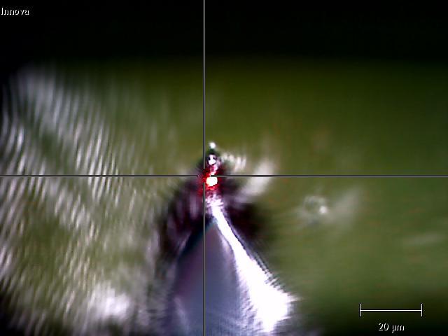 Optical image of tip illuminated with Raman excitation laser.