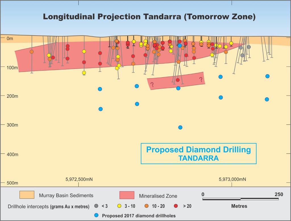Figure 7: Longitudinal Projection of Tomorrow Gold zone