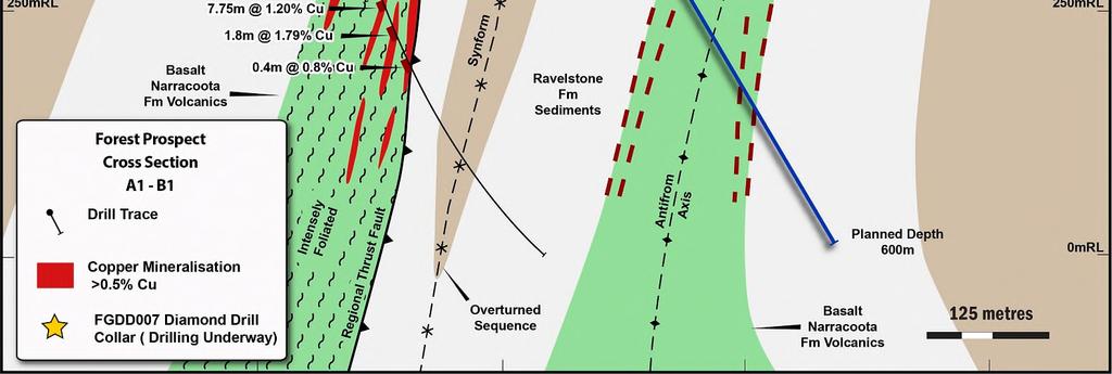 Wodger Prospect The copper mineralisation drilled at Wodger is interpreted to be epigenetic, associated with quartzcarbonate breccias and veining, along the eastern limb of the Wodger anticline