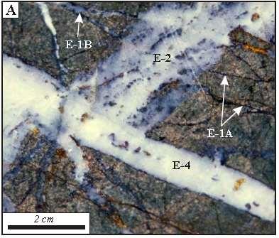 In his PhD thesis on the Cadia gold-copper porphyry deposits, Wilson (2003) 2 describes early veining as characterised by: Veinlets of magnetite-actinloite (E-1A) and quartz-magnetite-bornite (E-1B)