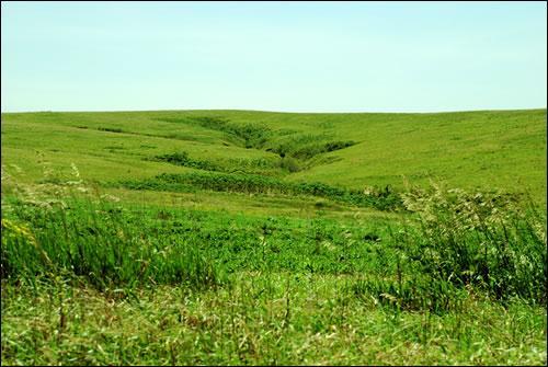 Prairie A prairie is a wide, relatively flat