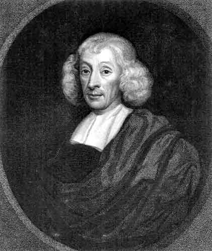 Linnaeus (1707-1778) -Binomial Nomenclature E.g.