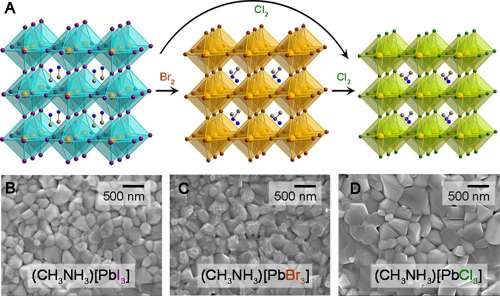 Post-synthetic halide conversion in 3D perovskites Many methods have been developed for obtaining the continuous Pb I films required for optoelectronic devices.