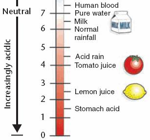 ACIDS Strong Acids have a ph