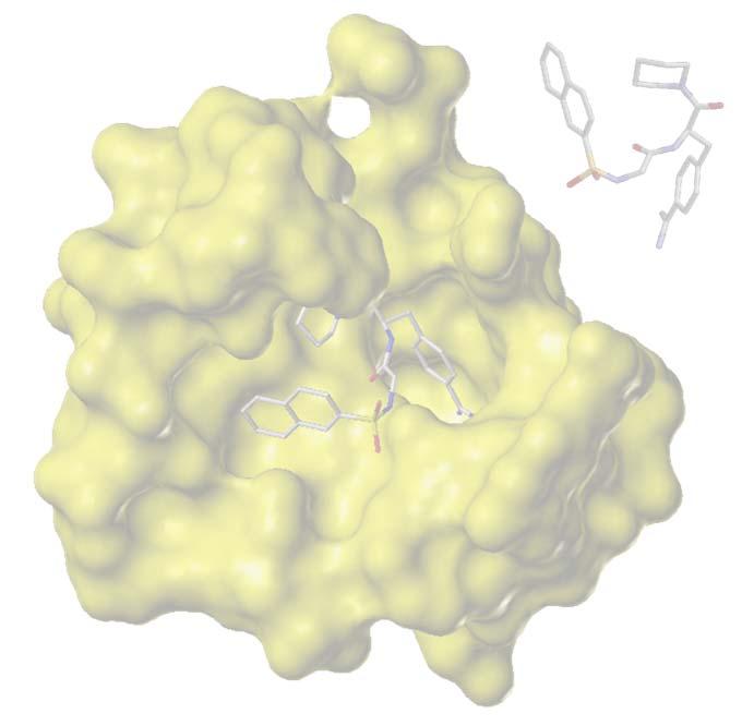 design given a protein: Where is the binding site?